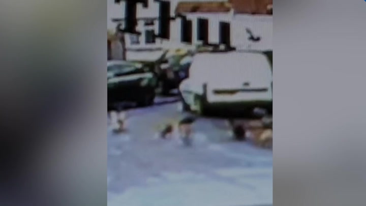 Man dumps seven dogs on road before driving away