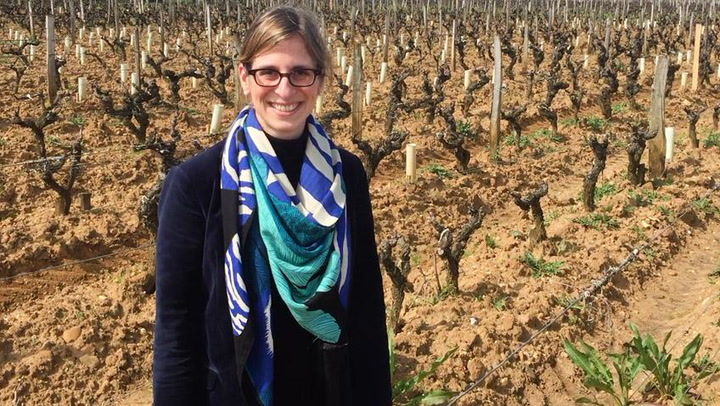 In the Vineyard at Château Coutet: Cover Crops