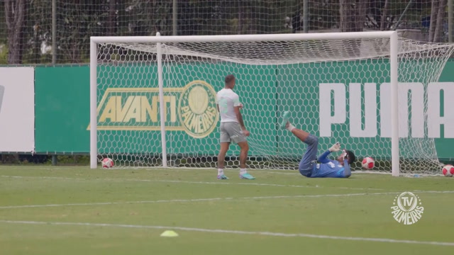Golaço de Breno Lopes e recuperação pós-jogo no treino do Palmeiras