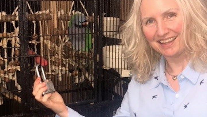 Lock-picking pet parrot found more than 30 miles away after search