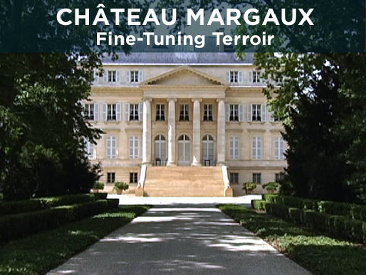Ch. Margaux:  Fine-Tuning Terroir with Paul Pontallier