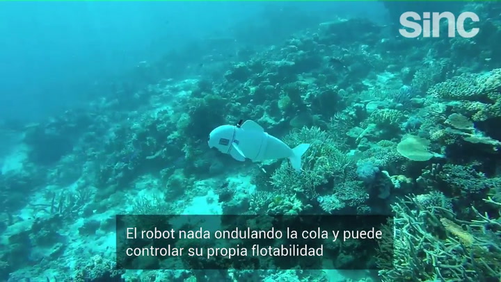 Este es el pez robótico blando SoFi