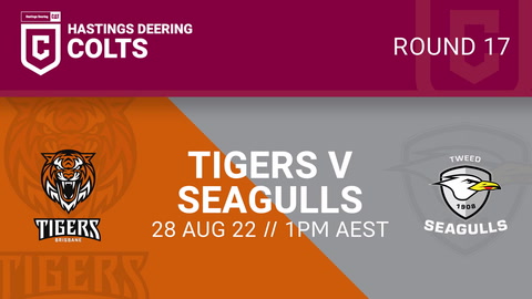 Brisbane Tigers v Tweed Seagulls