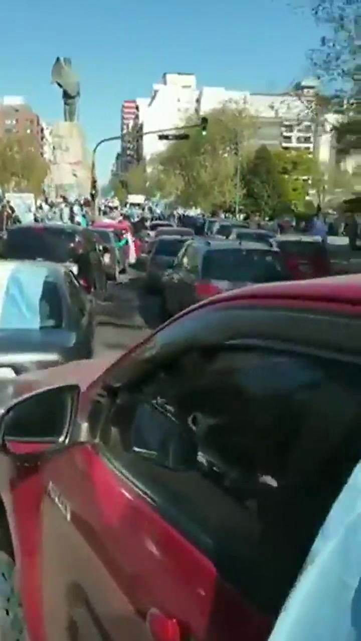 Manifestaciones en auto en Mar del Plata