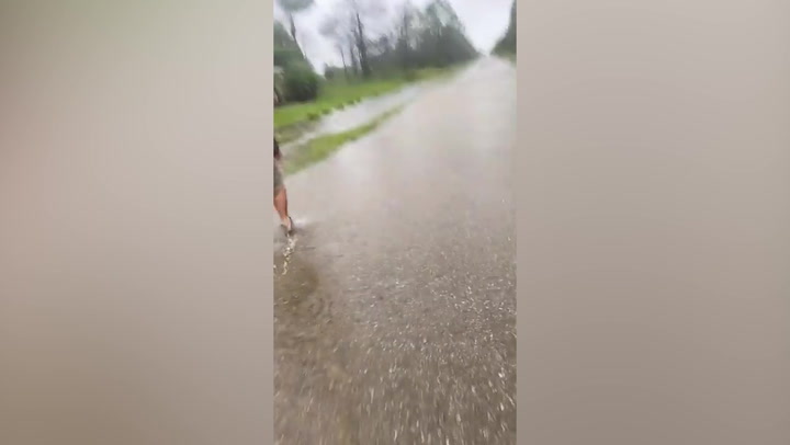 Hurricane Ian: Catfish swims up road as devastating floods hit Florida