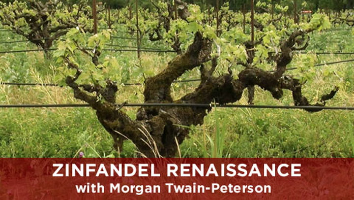 Zinfandel Renaissance with Bedrock Wine Co.