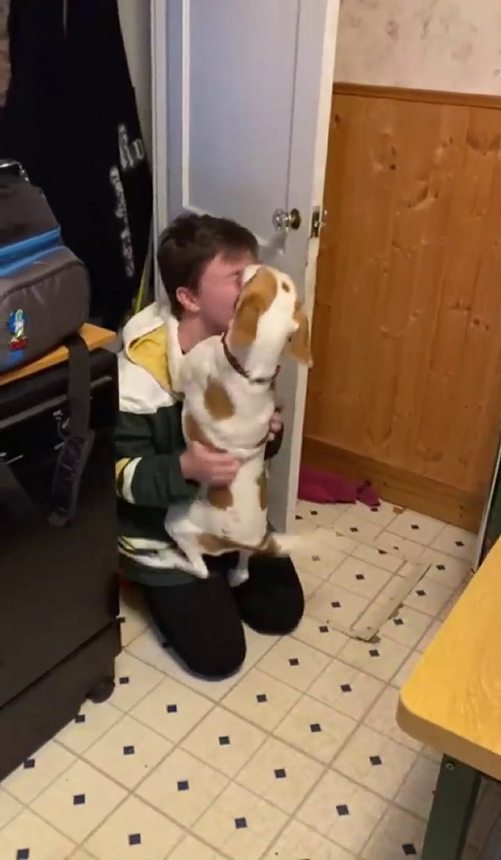 Viral: la efusiva reacción de un perro al reencontrarse con su dueño después de cuatro meses