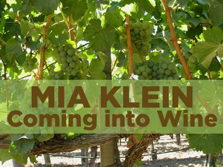 Mia Klein: Coming into Wine