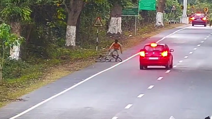 Cyclist gets knocked off bike by leopard in India