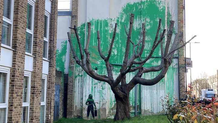New Banksy tree mural appears in north London
