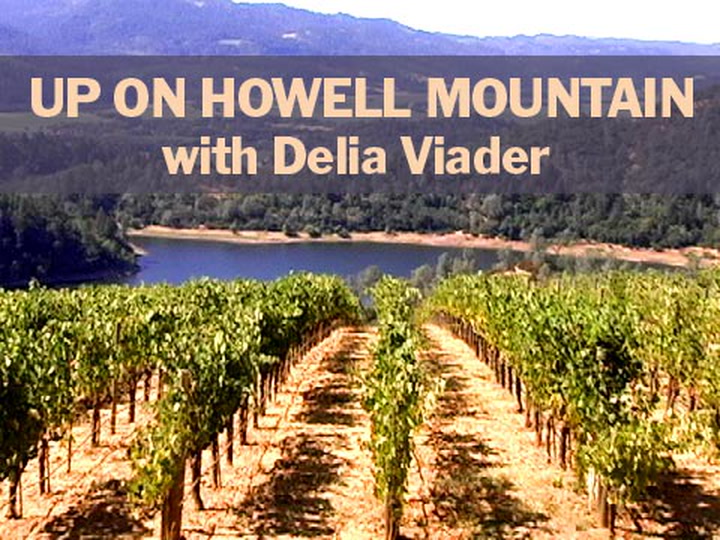 Viader: Up on Howell Mountain