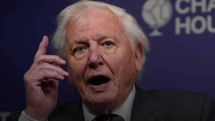 Sir David Attenborough says Cop26 leaders must 'listen to the science'