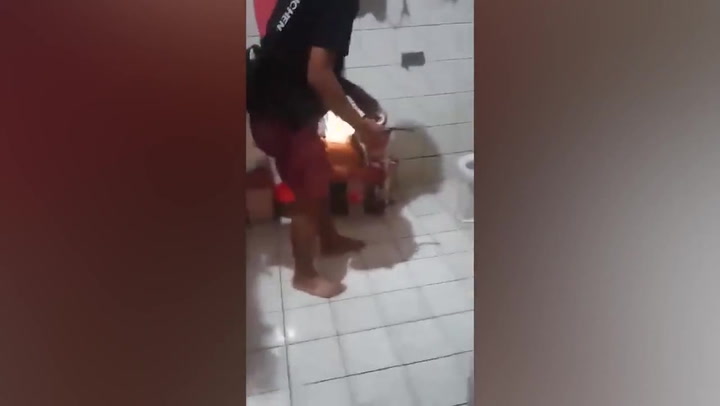 Moment fearless man grabs snake with bare hands after finding it slithering in bathroom