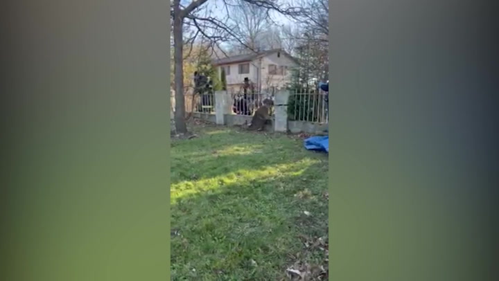 Deer trapped in fence runs to freedom after firefighters rush to the rescue