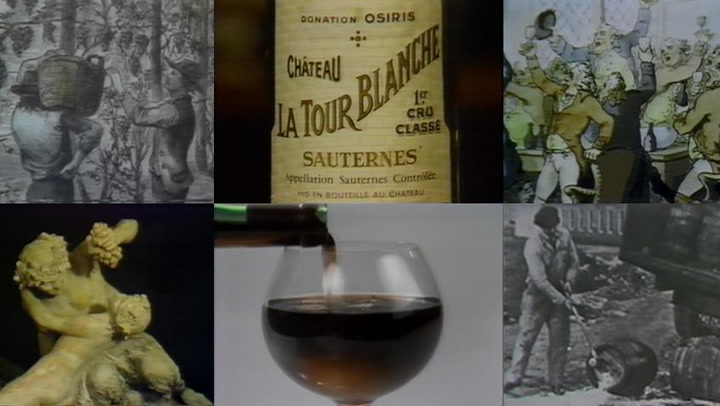 The History of Wine (1983 version)