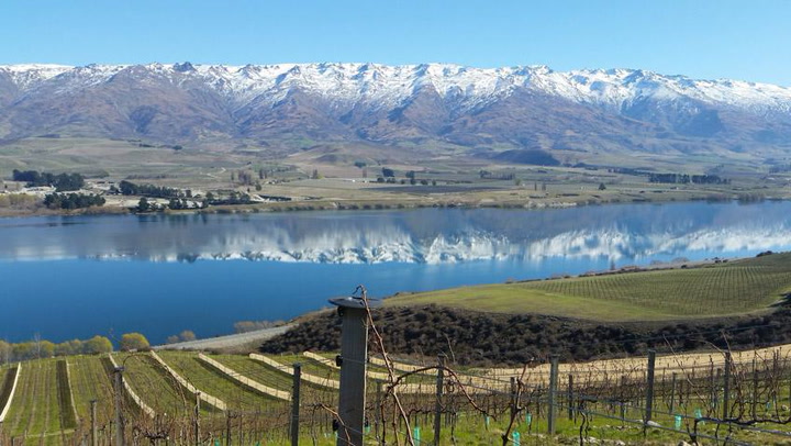 Waaaaay Down South in Central Otago: Aromatic Pinots