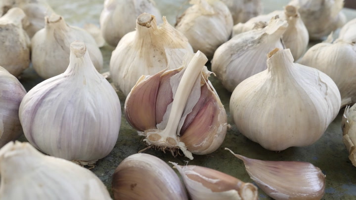 Why Your Garlic Might Be Blue, Green, or Even Purple