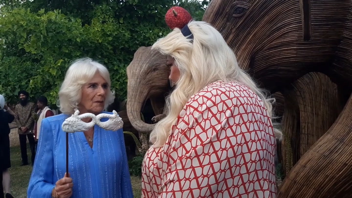 Gemma Collins meets Queen Camilla at royal palace's animal ball