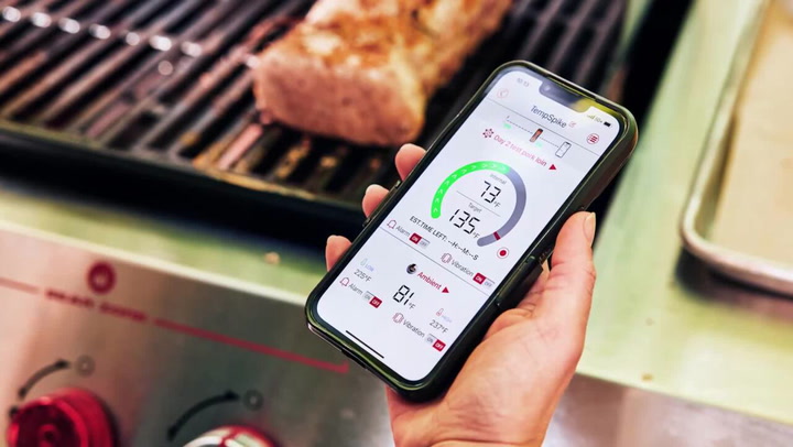 The 5 Best Wireless Thermometer For Grilling of 2023 – Peg Leg Porker