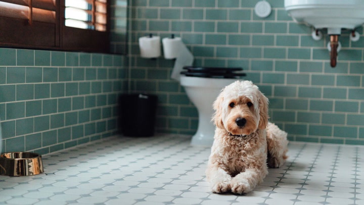 Tips and Hacks About Deep Cleaning Your Bathroom Tiles