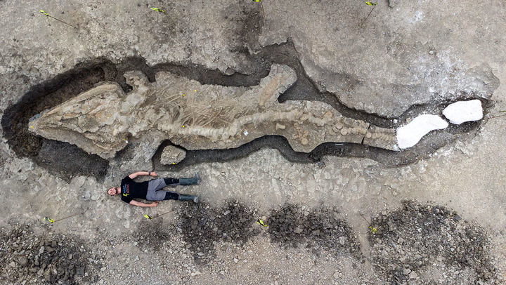 อังกฤษพบฟอสซิล "มังกรทะเลยักษ์" นักล่าแห่งท้องทะเล จากโลกดึกดำบรรพ์