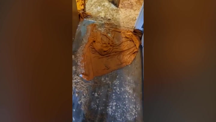 Horrifying scene of woman's home flooded with poo after toilet explosion