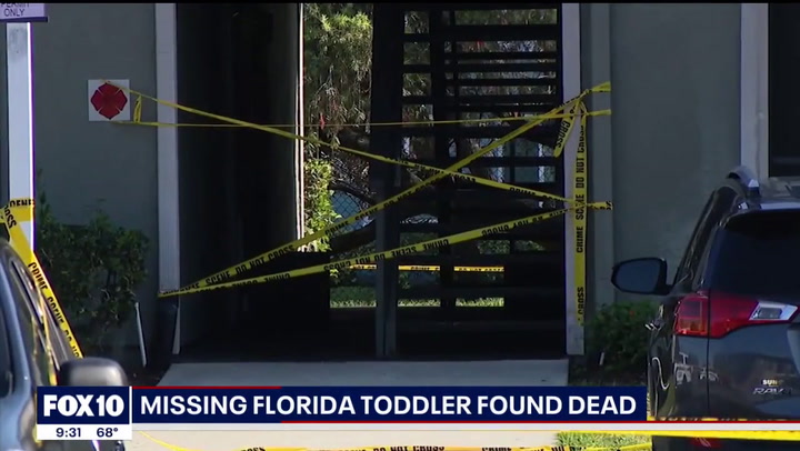 Toddler's body found inside an alligator's mouth, police say