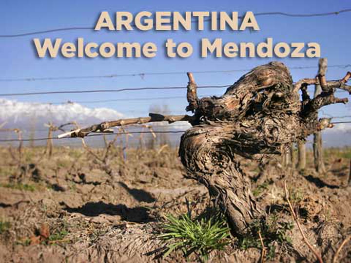 Welcome to Mendoza!