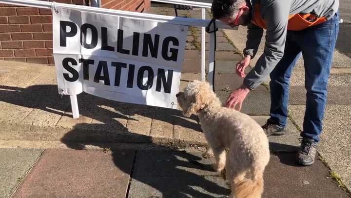 Reggie the cockapoo visits polling station with owner