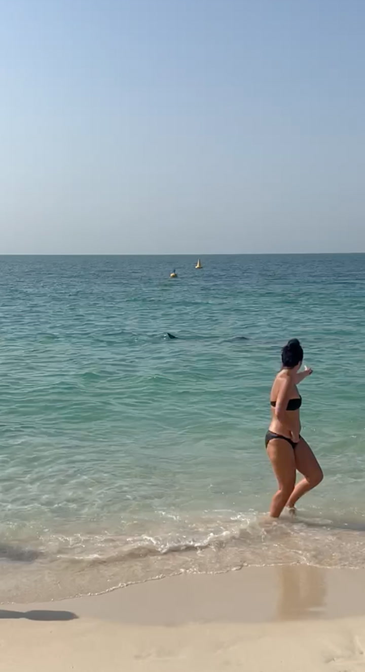 Terrifying moment shark swims around bathers in Dubai (#594280)