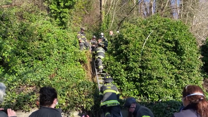 Seattle firefighters rescue dog trapped in landslide