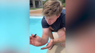 Watch: Robert Irwin saves tiny mouse from drowning in swimming pool