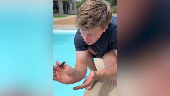 Watch: Robert Irwin saves tiny mouse from drowning in swimming pool | Lifestyle