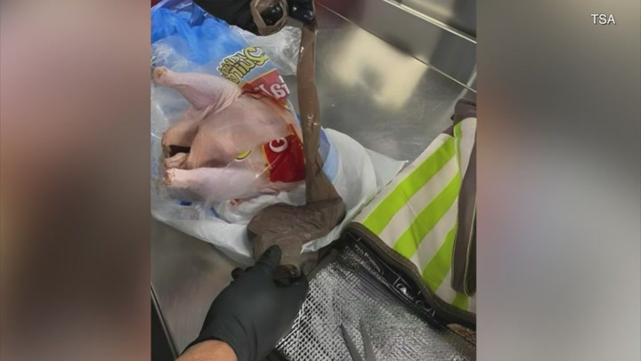 Security at Florida find gun stuffed into raw chicken