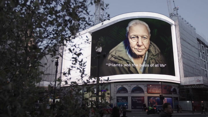 Sir David Attenborough takes over Piccadilly Circus screens to spread environmental message