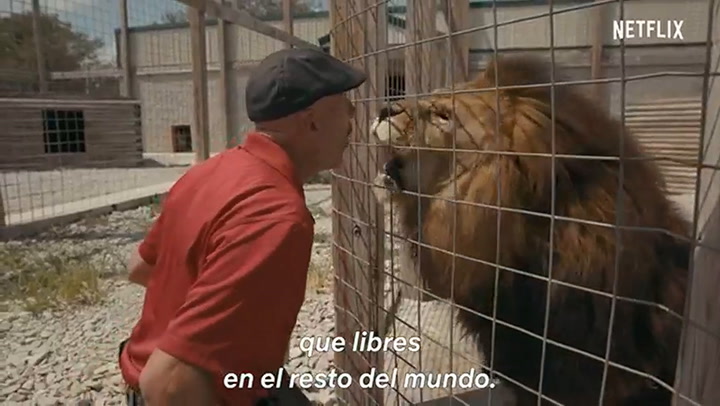 Trailer de Rey Tigre - Fuente: YouTube