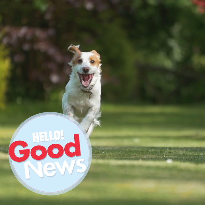 Toff's Hello To Good News - Episode 3