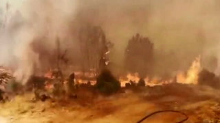 Loop. Incendios forestales en Chile