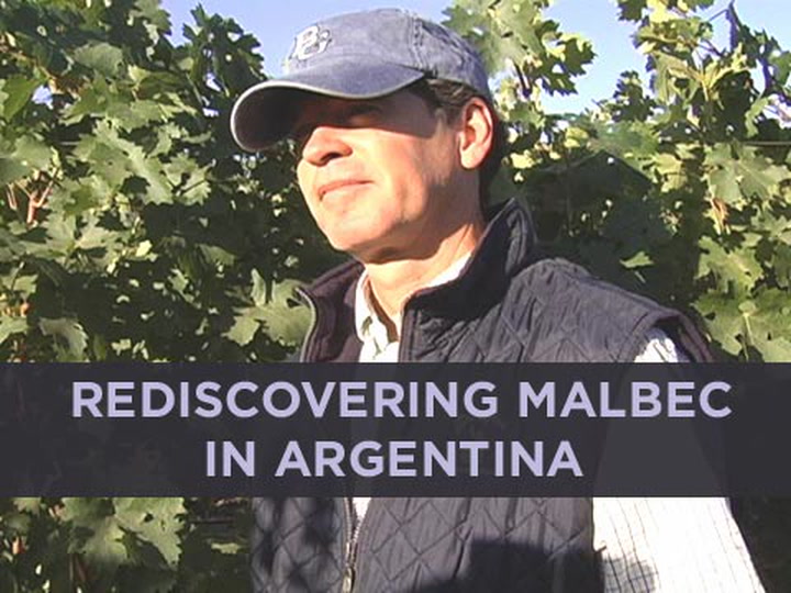 Rediscovering Malbec in Argentina