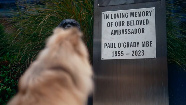 For The Love of Dogs pays moving tribute to Paul O’Grady in first episode since death