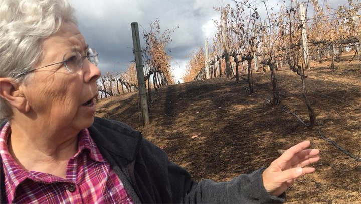 After the Fire, Steps to Recovery: Worobiec Visits Lagier Meredith Vineyard in Napa Valley