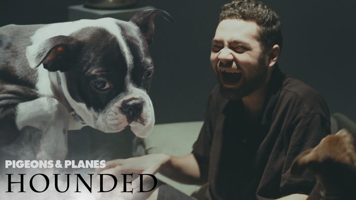 Wiki Gets Interviewed by Puppies | Hounded
