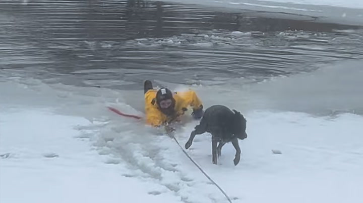 Heroic firefighter rescues dog from frozen pond