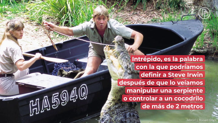 Steve Irwin, el encantador de cocodrilos, cumpliría 60 años