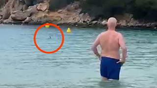 Watch moment shark circles Britons swimming in Menorca sea