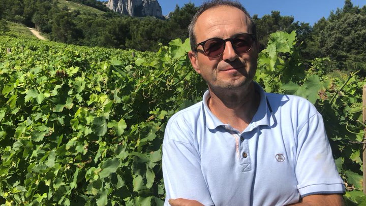 In the Vineyard at Domaine La Bouïssiere: Managing Disease Pressure