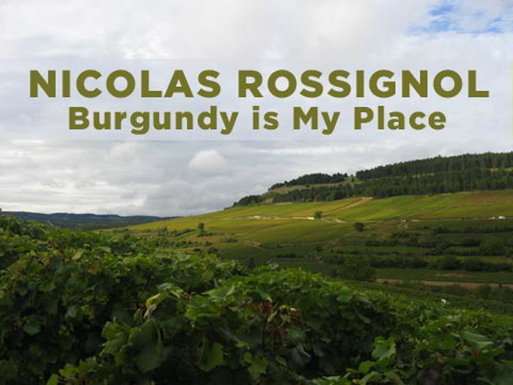 Rossignol: Burgundy is my place