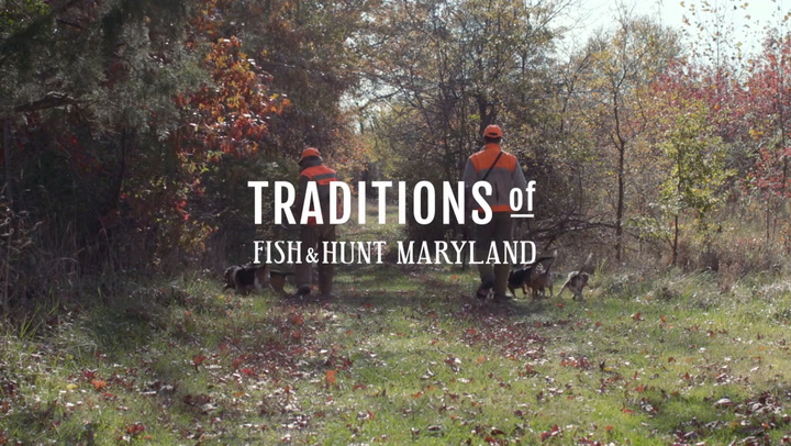 Fish & Hunt Maryland: Hunting Rabbit with Charles Rodney