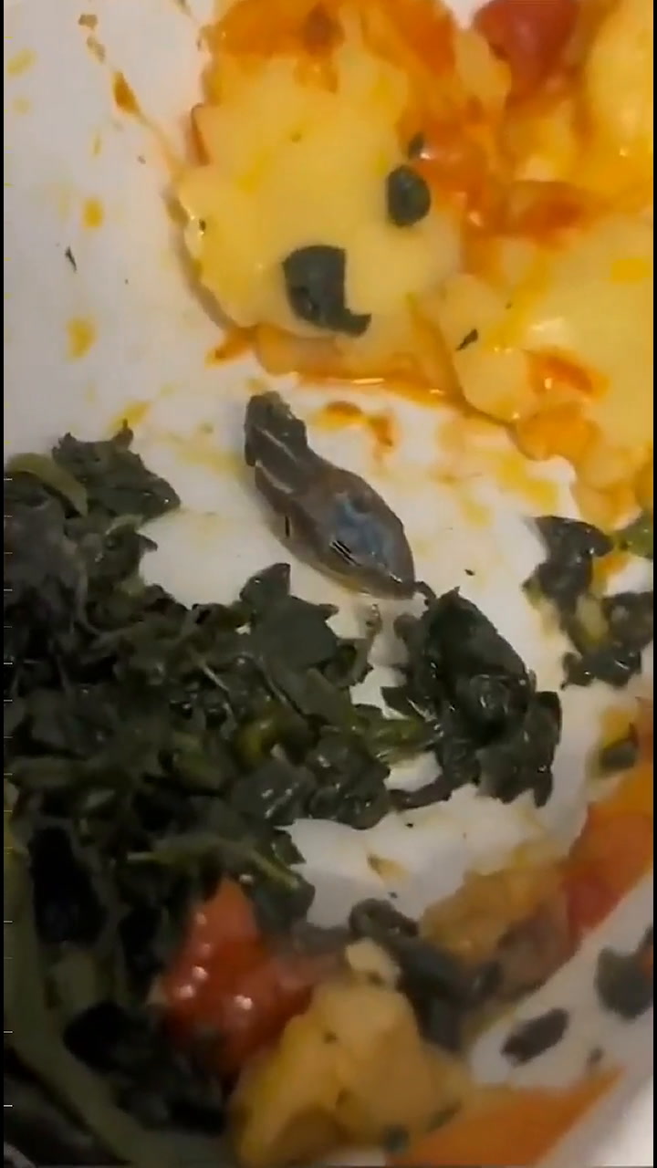 Encontró la cabeza de un animal en la ensalada que le sirvieron en el vuelo y se hizo viral