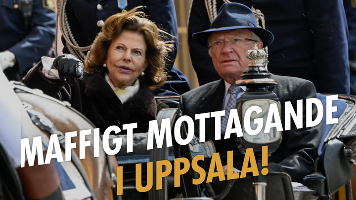 Maffigt mottagande när kungaparet reser till Uppsala!